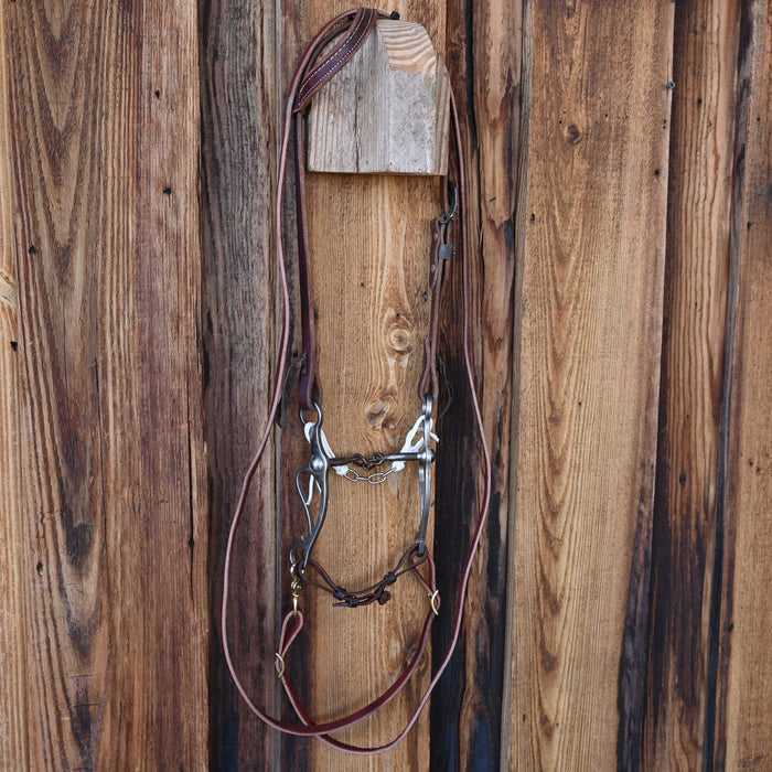 Tristan Mahoney Chain Break Bridle Rig w/Single Ear Headstall
