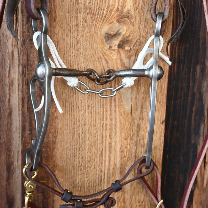 Tristan Mahoney Chain Break Bridle Rig w/Single Ear Headstall