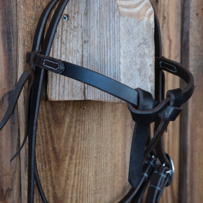 Prickly S Custom Leather Futurity Knot Browband Headstall