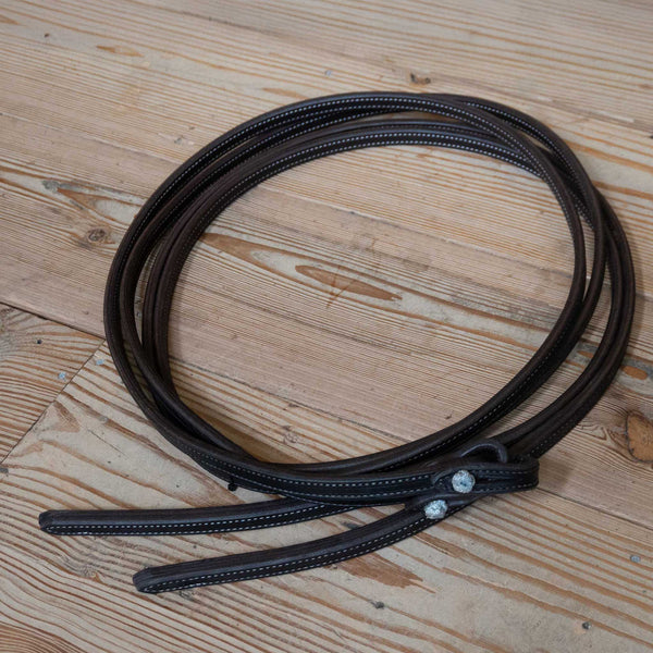 Reins