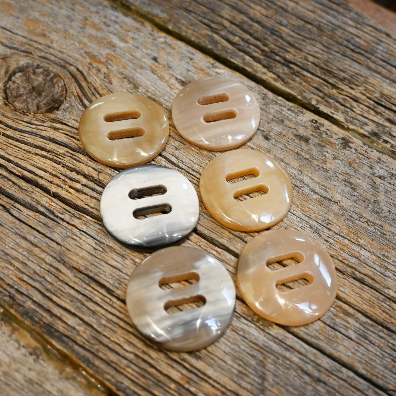 Cow Horn 1 1/4" Concho Set Tack - Conchos & Hardware MISC