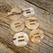 Cow Horn 1 1/4" Concho Set Tack - Conchos & Hardware MISC