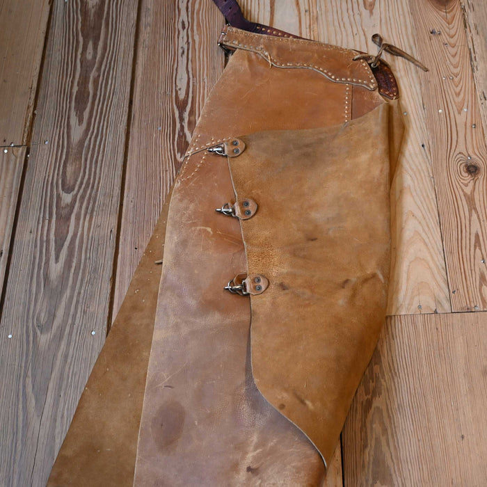 1950's N. Porter Roughout Chaps