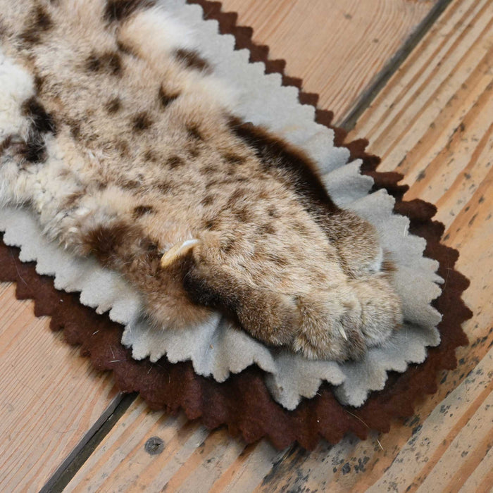 Bob Cat Rug by James D. Gay