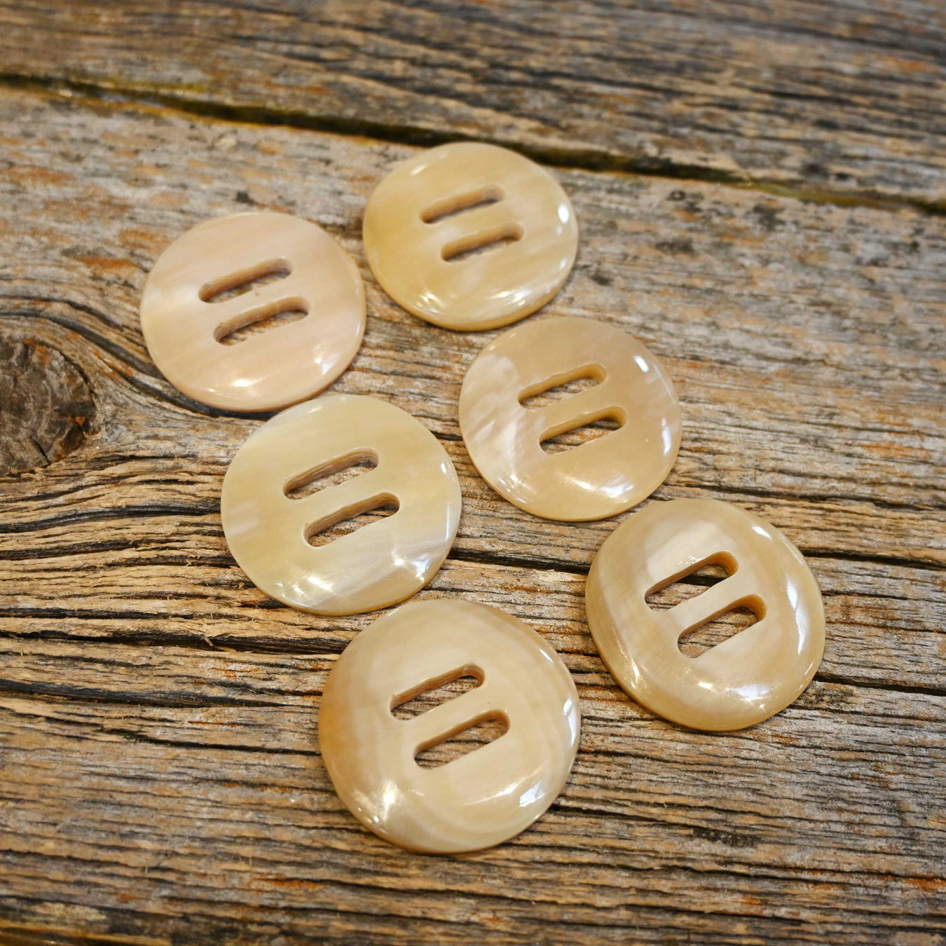 Cow Horn 1 1/4" Concho Set Tack - Conchos & Hardware MISC