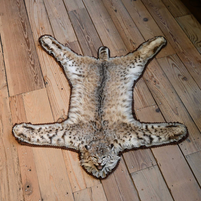 Bob Cat Rug by James D. Gay