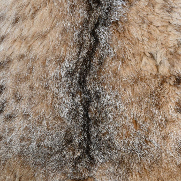 Bob Cat Rug by James D. Gay