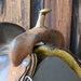 13.5" USED SHARIN HALL BARREL SADDLE Saddles - Used Sharin Hall