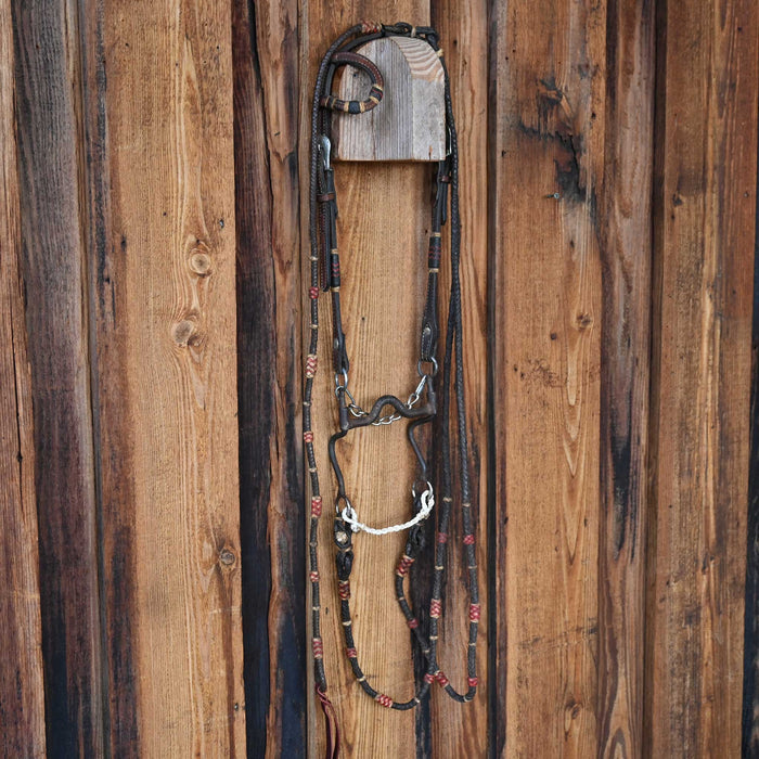 Solid Port Bridle Rig with Romel Reins 4151