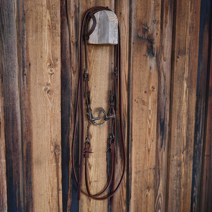 Cathedral Bridle Rig 4156