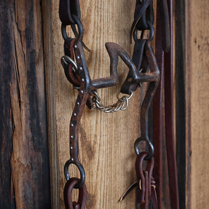 Cathedral Bridle Rig 4156