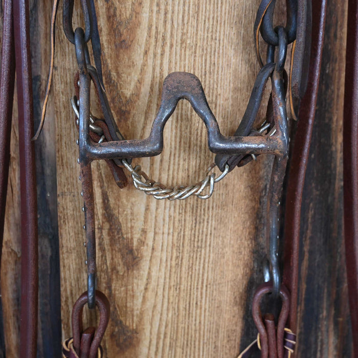Cathedral Bridle Rig 4156