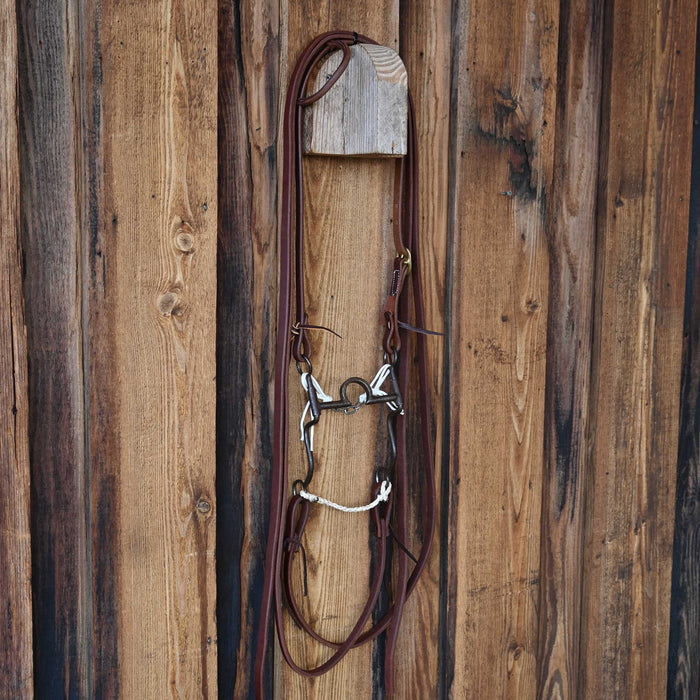Daryl Davis C-Port Bridle Rig 4162
