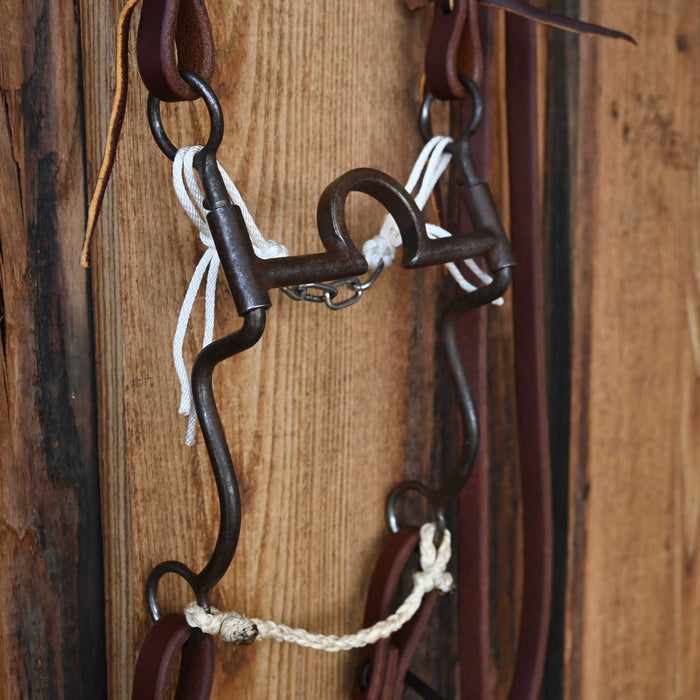 Daryl Davis C-Port Bridle Rig 4162