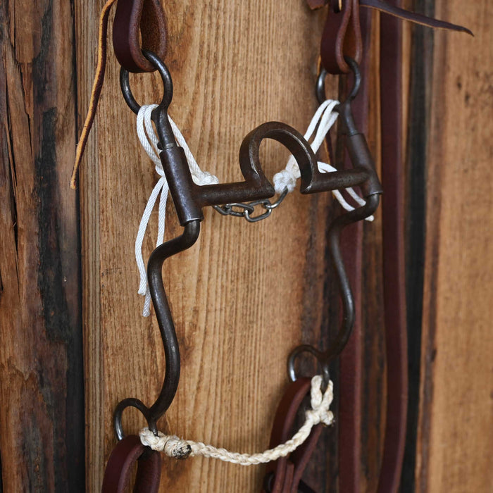Daryl Davis C-Port Bridle Rig 4162