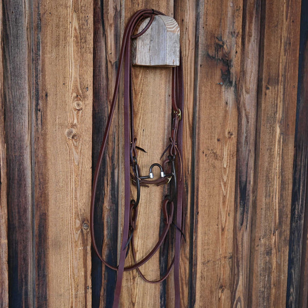 Headstalls & Rigs