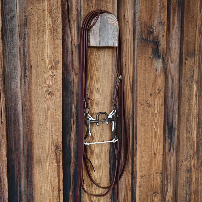 CHS Correction with Balls Bridle Rig 4166