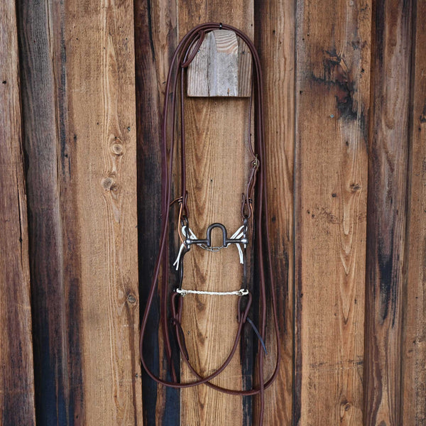 Headstalls & Rigs