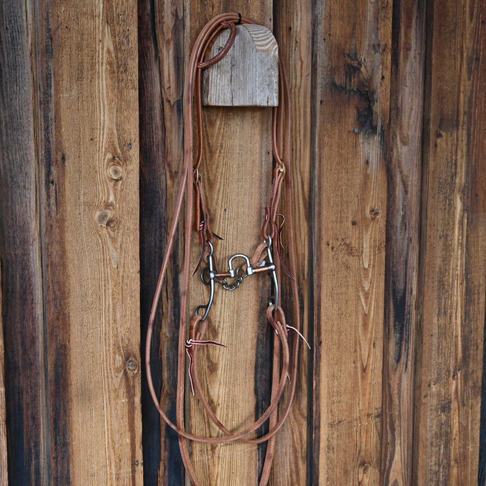 Kerry Kelley 50 10 Correction Bridle Rig 4172