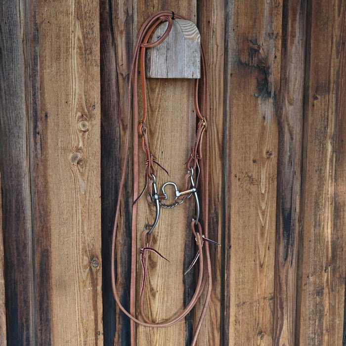 Kerry Kelley 65 10 Correction Bridle Rig 4173