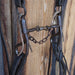 Dogbone Bridle Rig Sale Barn misc