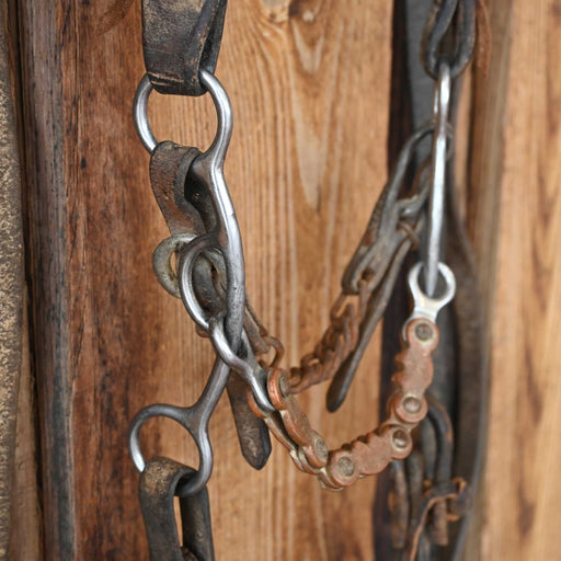 Copper Mule Bridle Rig Sale Barn misc