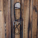 D-Ring Low Locking Hinge Port English Bridle Rig Sale Barn misc