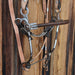 Mechanical Hackamore Bridle Rig Sale Barn misc