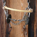 Twisted Wire Dogbone Bridle Rig Sale Barn misc