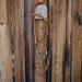 Copper Snaffle Bridle Rig Sale Barn misc