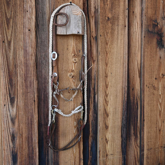 Professional's Choice Twisted Wire Lifesaver Bridle Rig w/Single Ear Headstall
