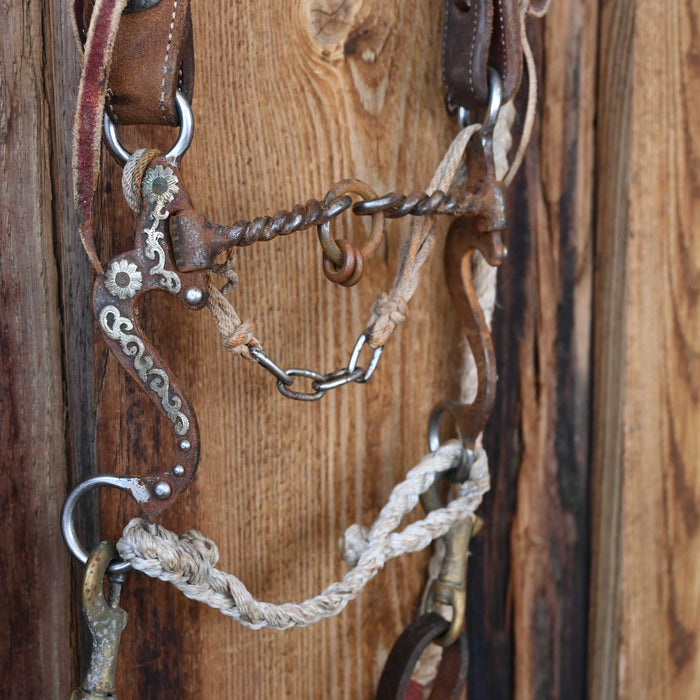 Professional's Choice Twisted Wire Lifesaver Bridle Rig w/Single Ear Headstall
