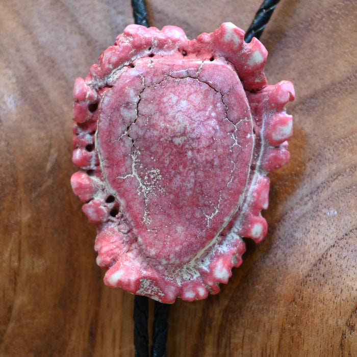 Vintage Antler Button Bolo Tie