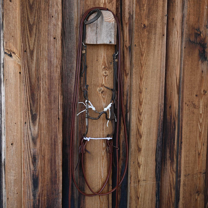 S/S Solid Port Bridle Rig w/Single Ear Headstall