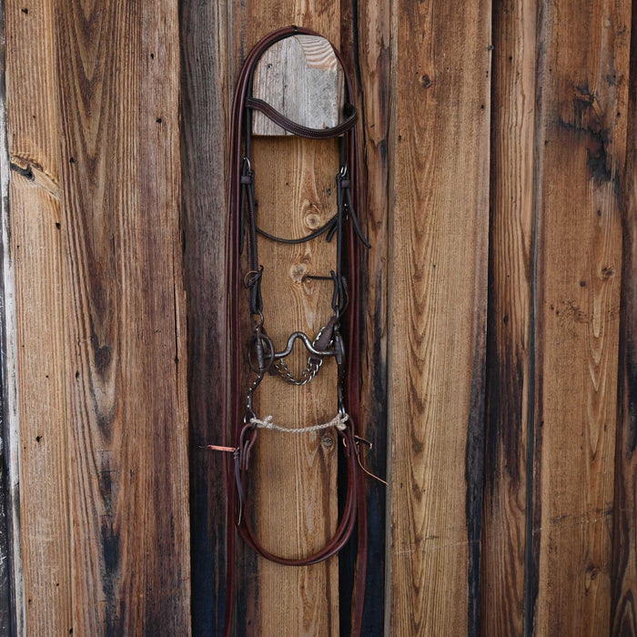 Solid Port Bridle Rig w/Browband Headstall