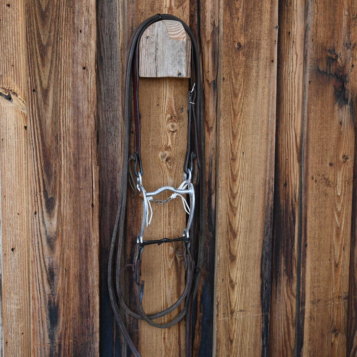 Barry Guillory Solid Port Bridle Rig w/Split Ear Headstall