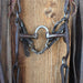 Correction Bridle Rig Sale Barn MISC