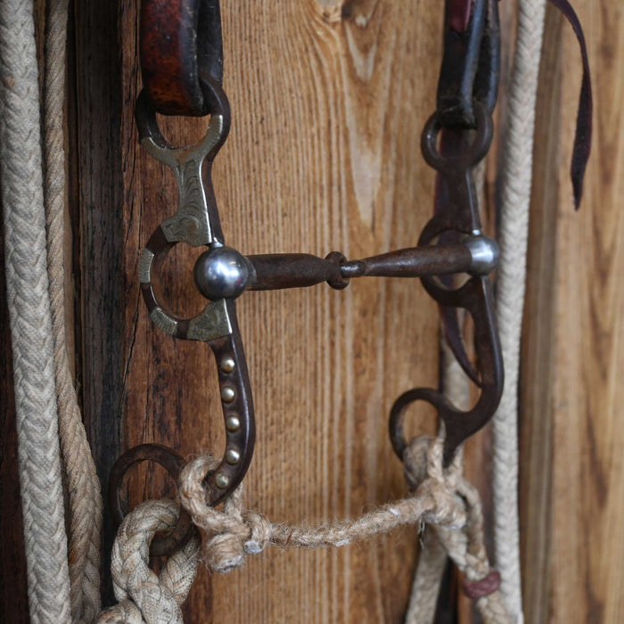 NRS Snaffle Bridle Rig w/Single Ear Headstall