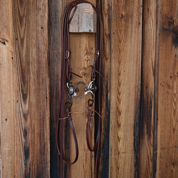 Wayne Dollar & Wayne Dess Silver Mounted Correction Bridle Rig w/All New Leather