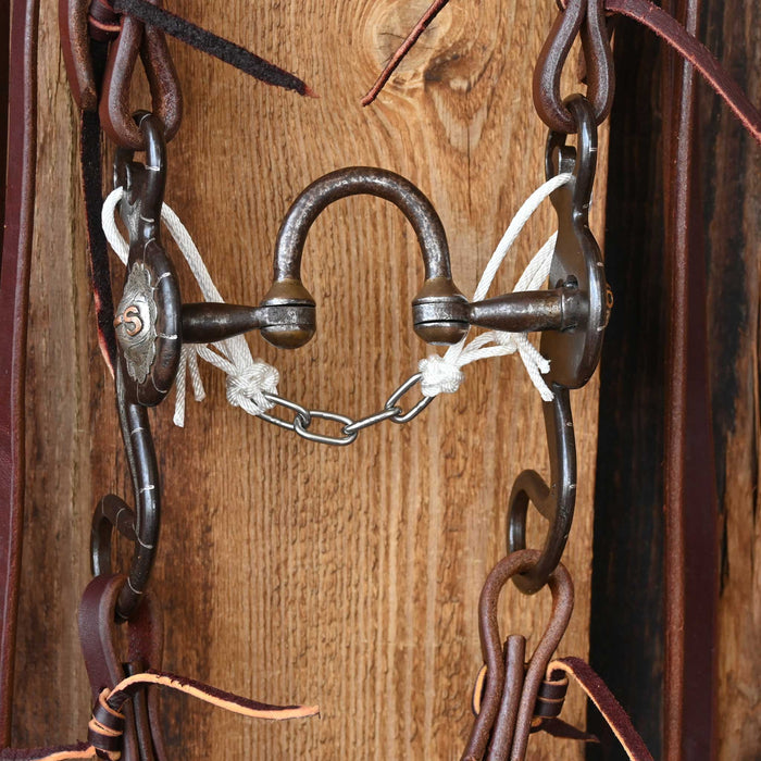 Wayne Dollar & Wayne Dess Silver Mounted Correction Bridle Rig w/All New Leather