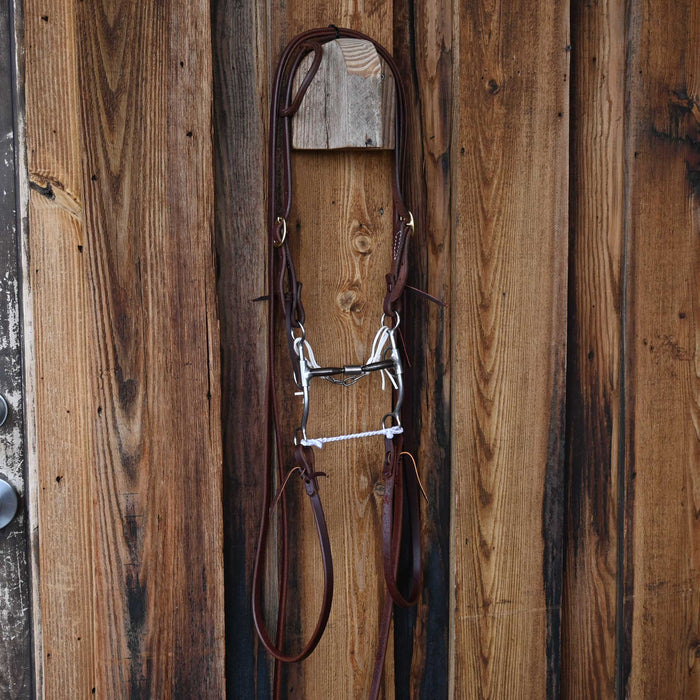 Reinsman Billy Allen Bridle Rig w/All New Leather