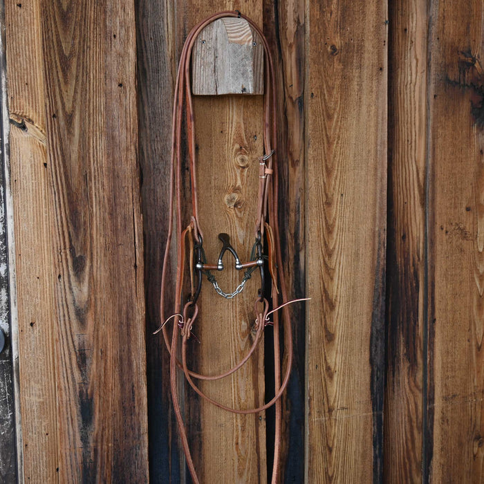 Jim Edwards Cathedral Bridle Rig w/Split Ear Headstall