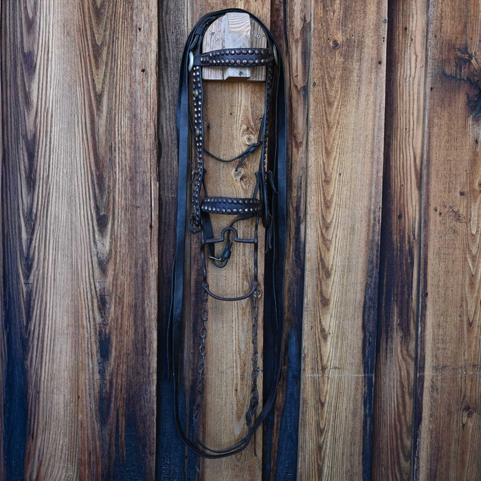 Vintage Spotted Bridle Rig
