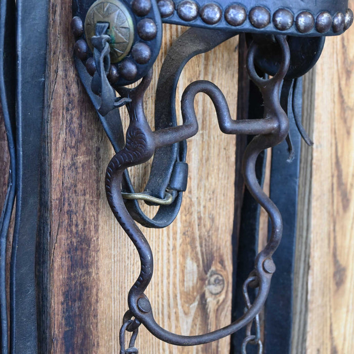 Vintage Spotted Bridle Rig