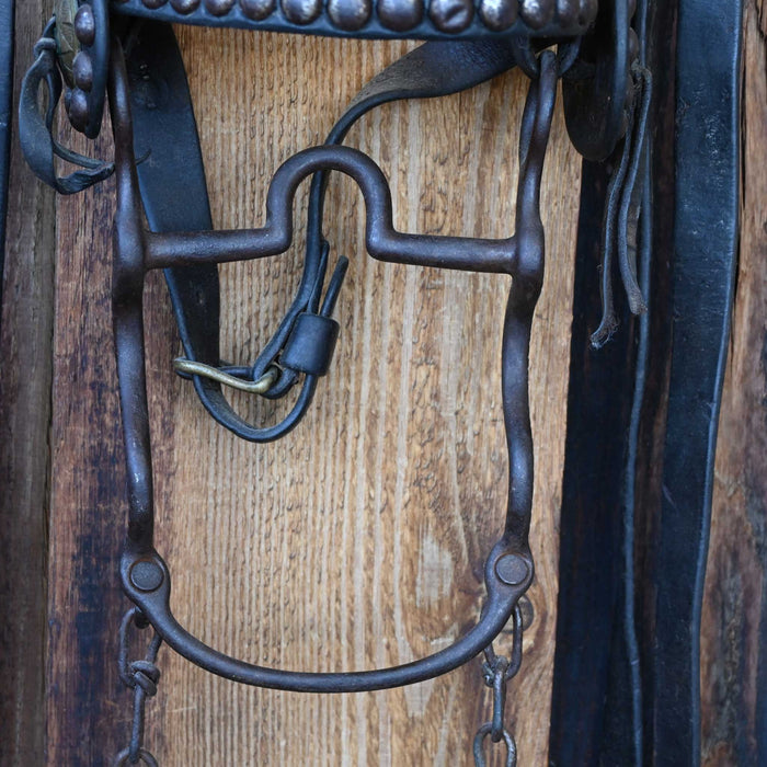 Vintage Spotted Bridle Rig