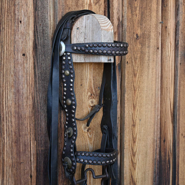 Vintage Spotted Bridle Rig