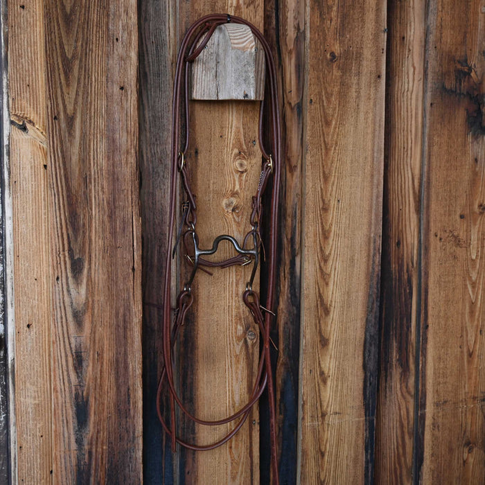 Kurtis Rudelbach Solid Port Bridle Rig w/All New Leather