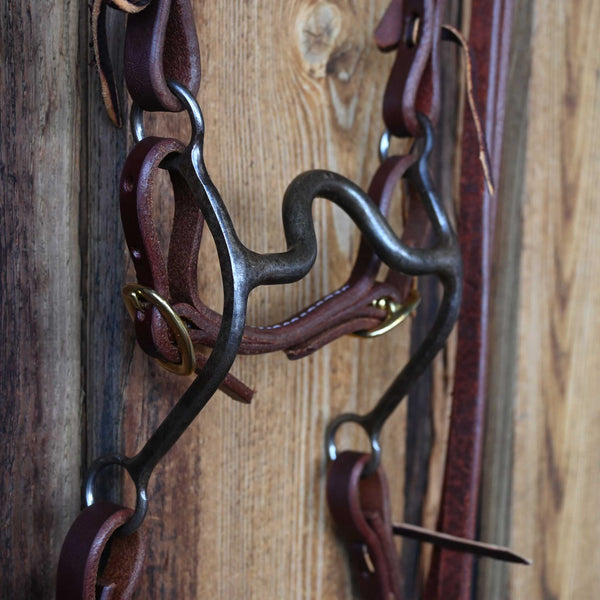 Headstalls & Rigs