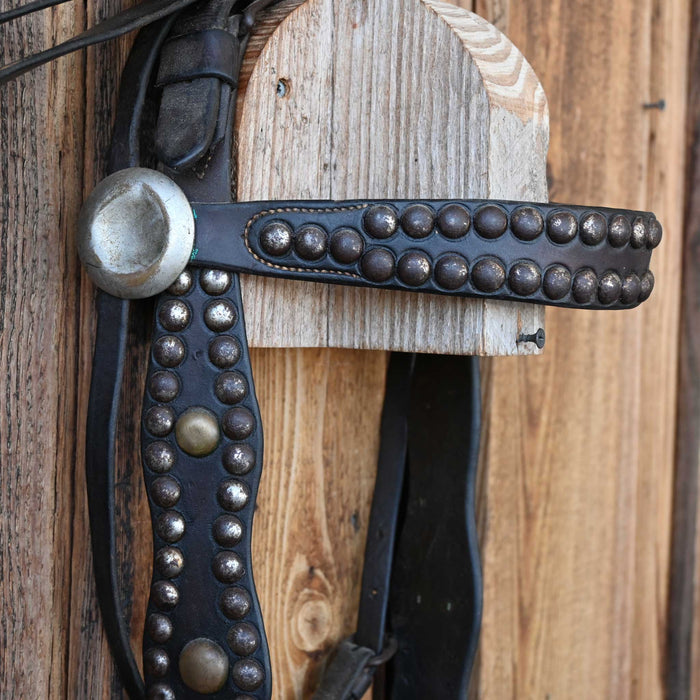 Vintage Spotted Bridle Rig