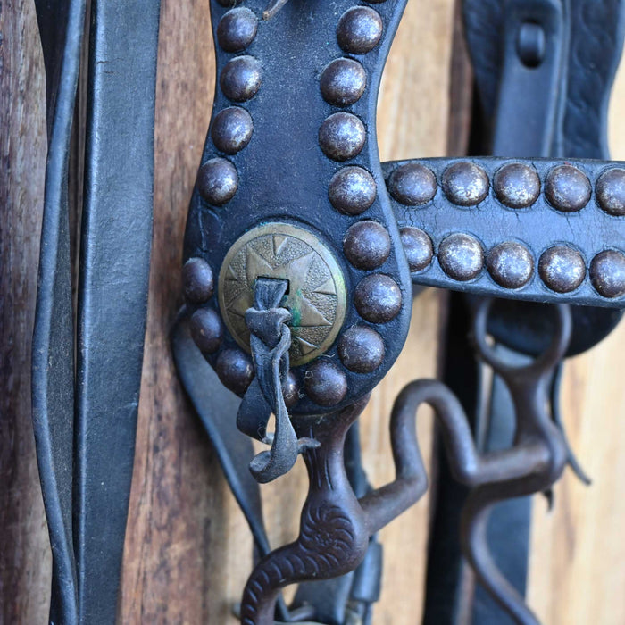 Vintage Spotted Bridle Rig
